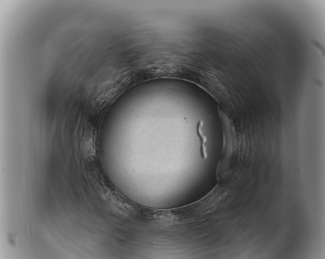 X0000102241250200808011240