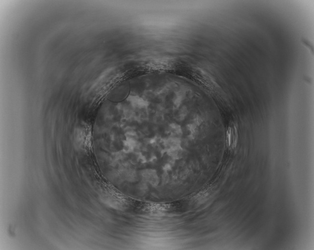 X0000102241251200808011240