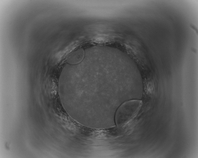 X0000102241253200808011240