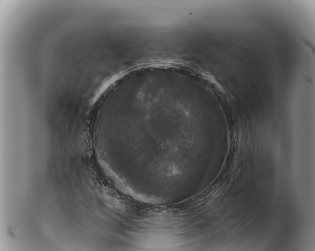 X0000102241256200808011240