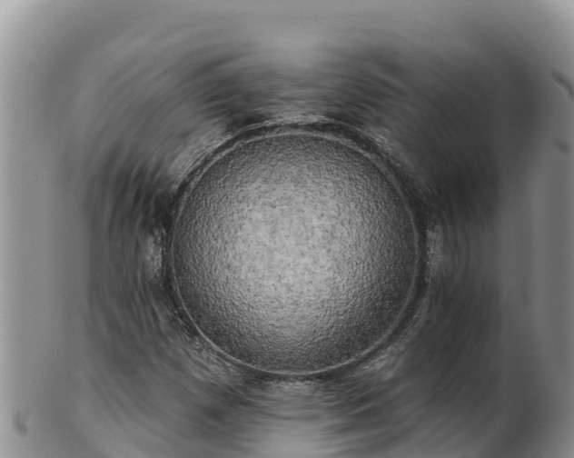 X0000102241257200808011240