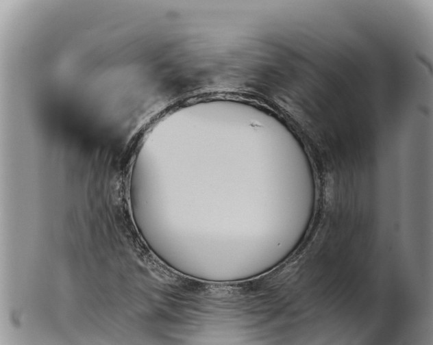 X0000102241258200808011240