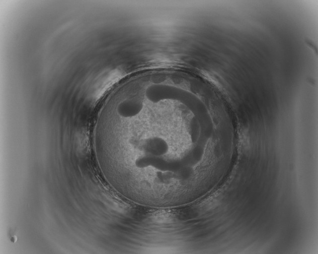 X0000102241259200808011240