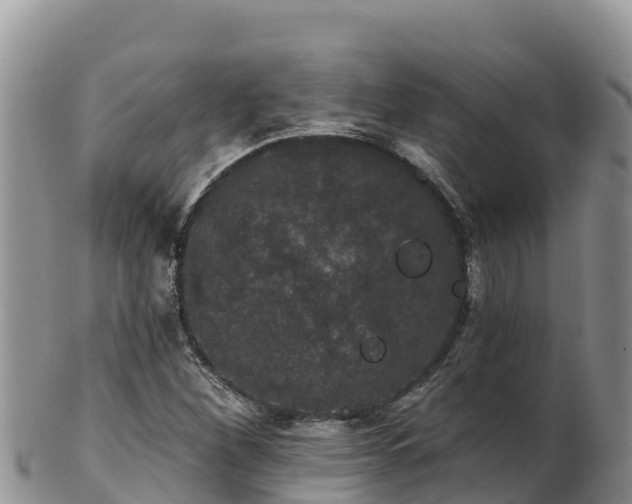 X0000102241260200808011240