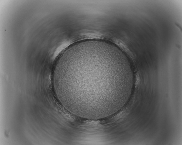 X0000102241261200808011240