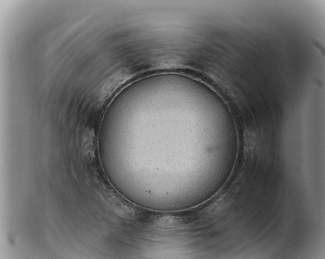 X0000102241265200808011240