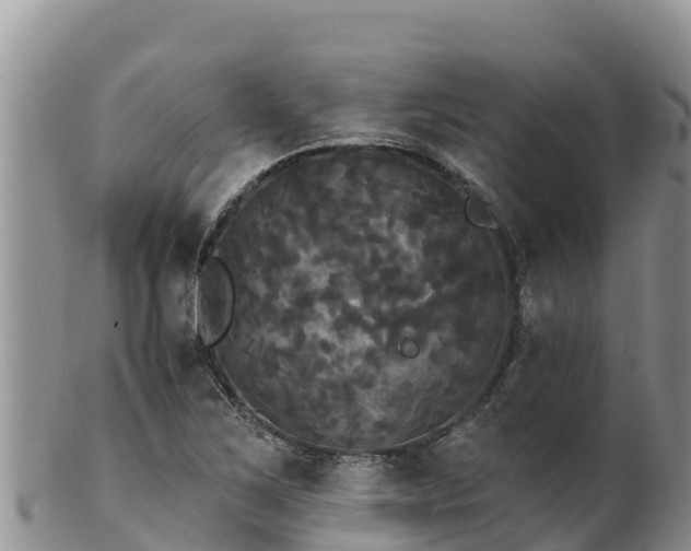 X0000102241267200808011240