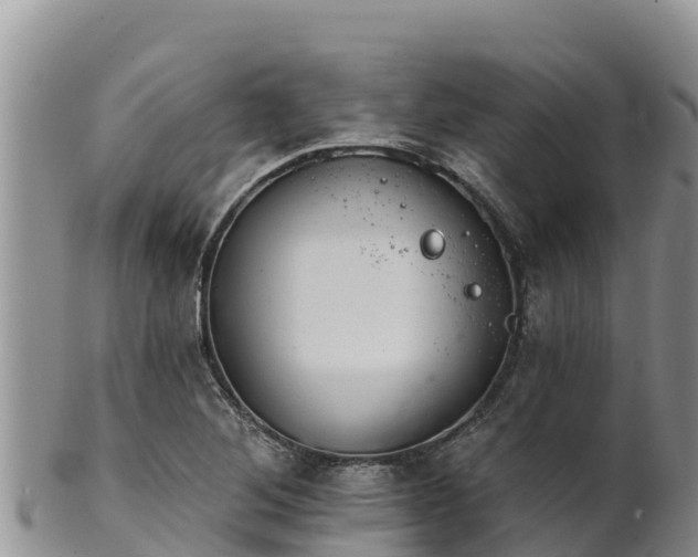 X0000102241268200808011240