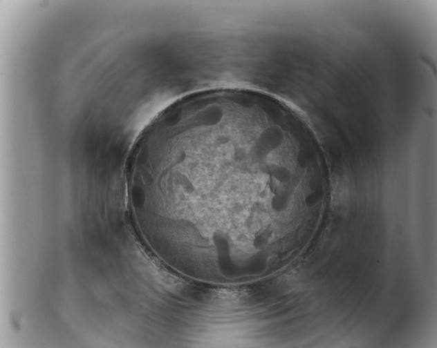 X0000102241271200808011239