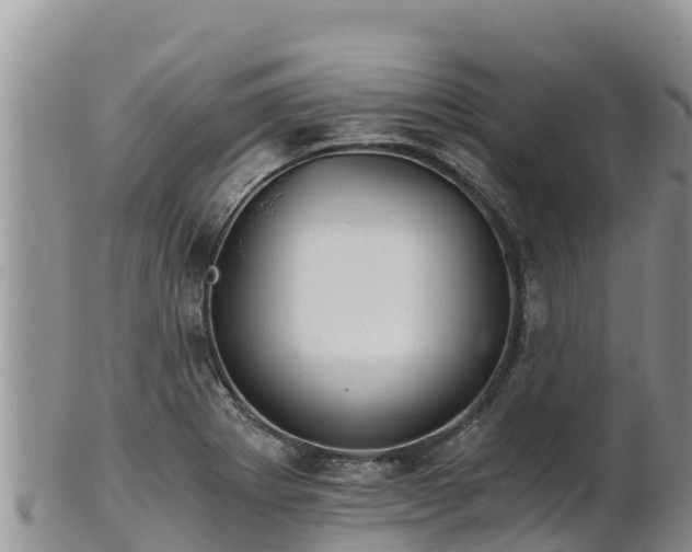 X0000102241273200808011239