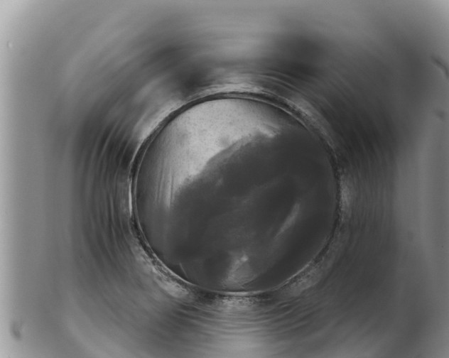 X0000102241274200808011239