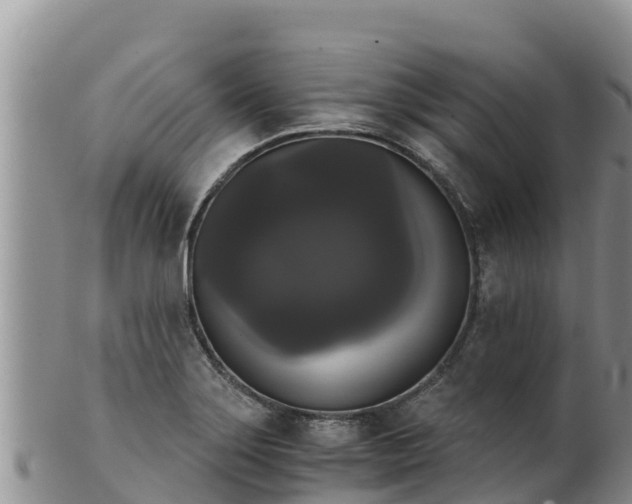 X0000102241275200808011239