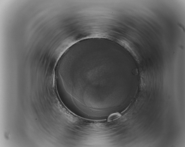 X0000102241276200808011239