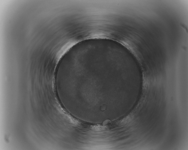 X0000102241277200808011239