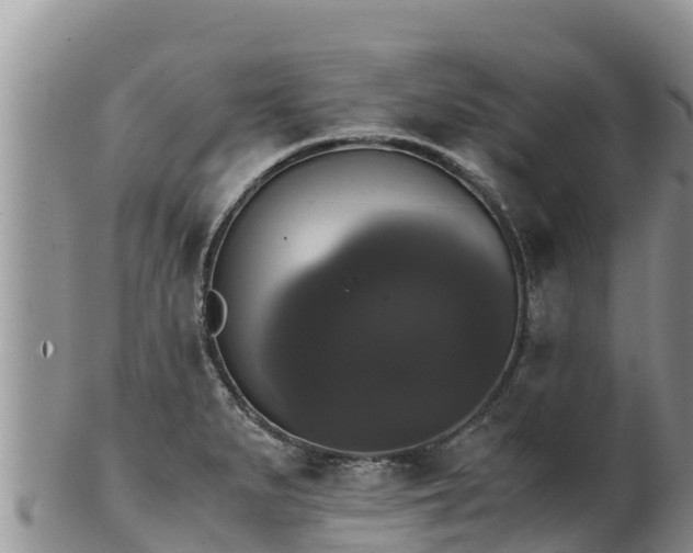 X0000102241279200808011239