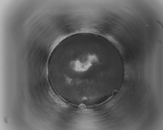 X0000102241280200808011239