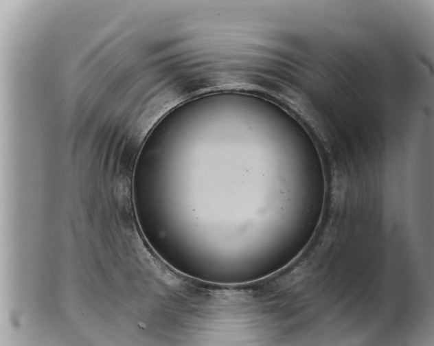 X0000102241281200808011239