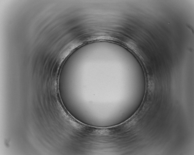 X0000102241282200808011239