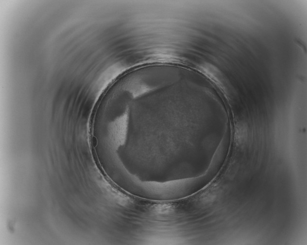 X0000102241283200808011239