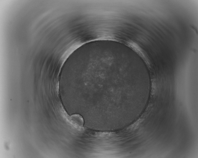 X0000102241284200808011239