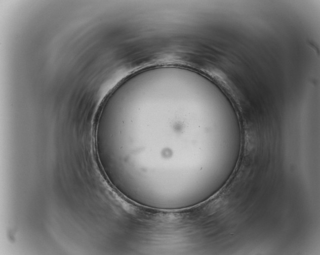 X0000102241286200808011239