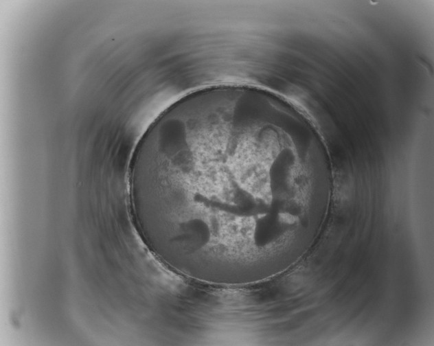 X0000102241287200808011239