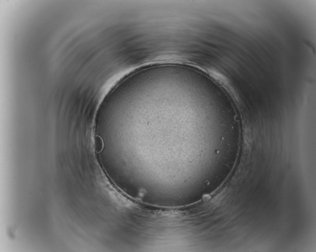 X0000102241288200808011239