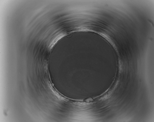 X0000102241289200808011239