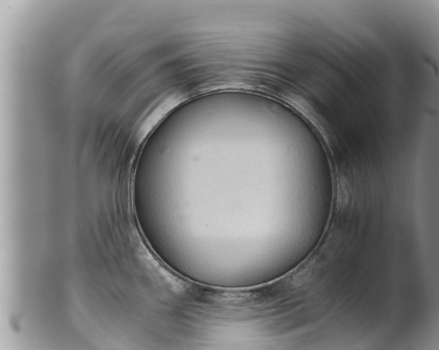 X0000102241290200808011239