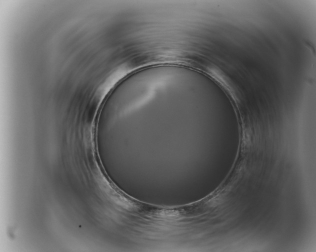 X0000102241291200808011239