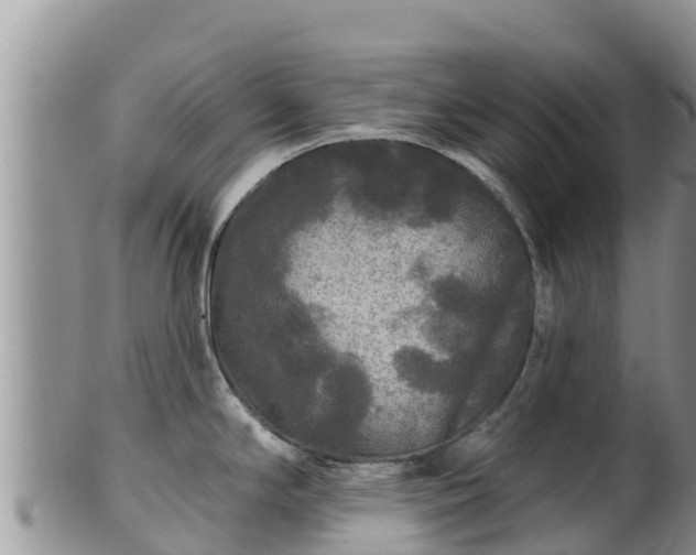 X0000102241294200808011239