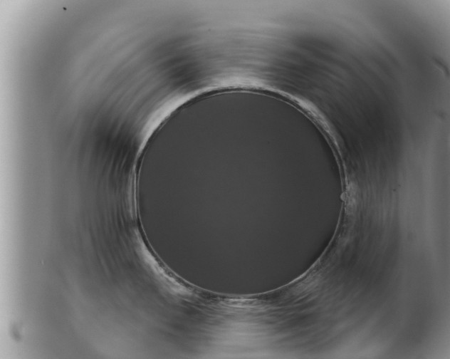 X0000102241295200808011239