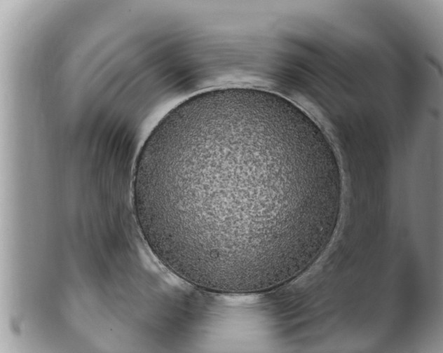 X0000102241296200808011239