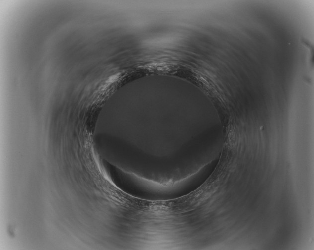 X0000102241297200808011238