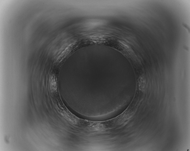 X0000102241298200808011238