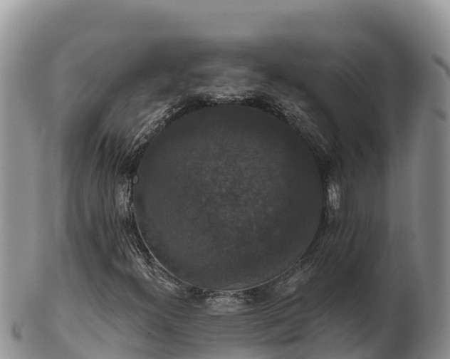 X0000102241300200808011238