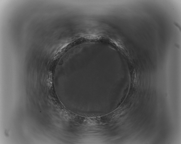 X0000102241301200808011238