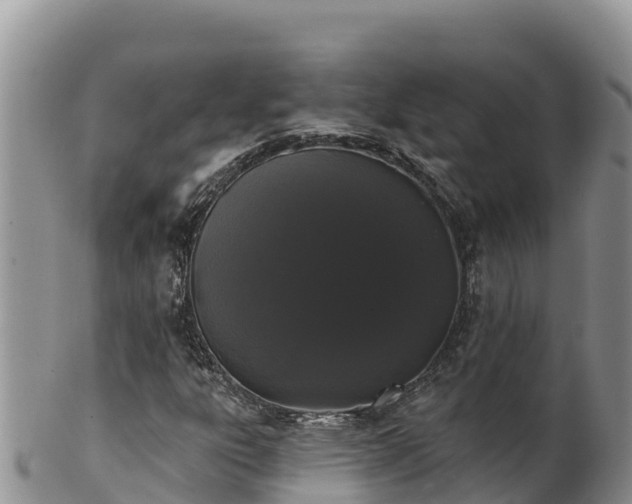 X0000102241303200808011238