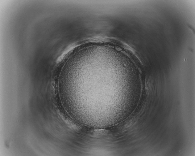 X0000102241304200808011238