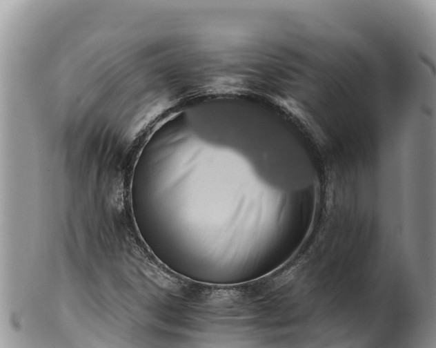 X0000102241306200808011238