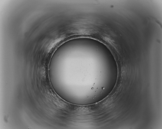 X0000102241307200808011239