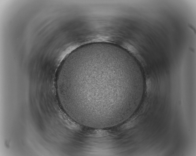 X0000102241308200808011239