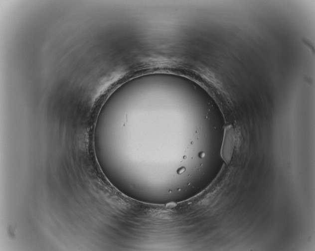 X0000102241309200808011239