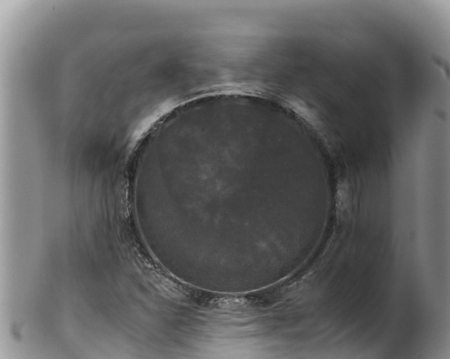 X0000102241310200808011239