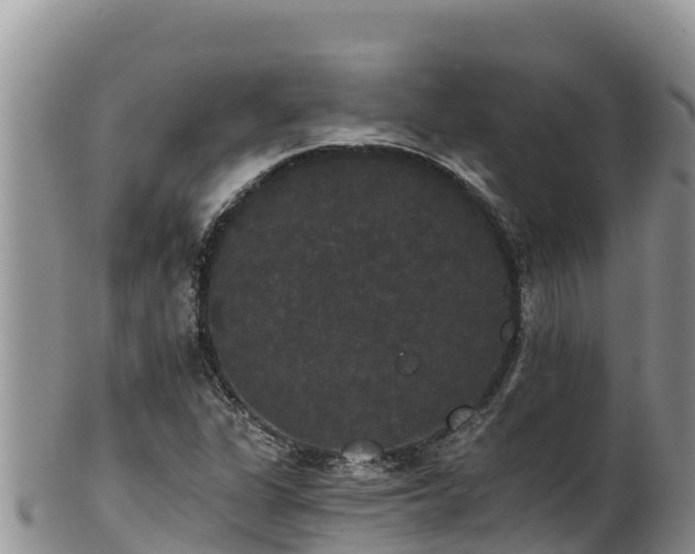 X0000102241311200808011239