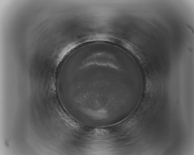 X0000102241312200808011239