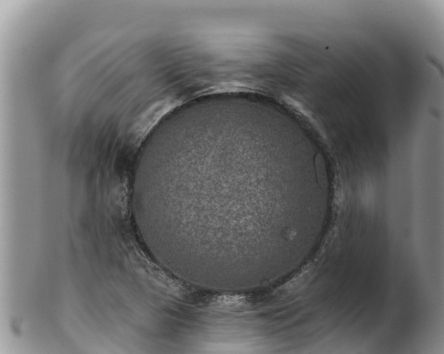 X0000102241313200808011239