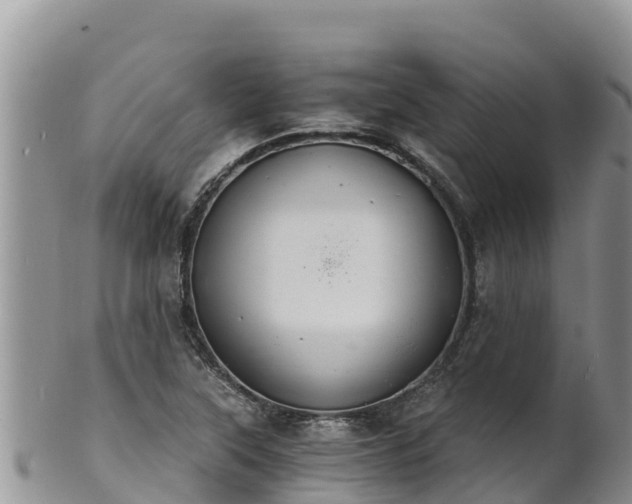 X0000102241315200808011239