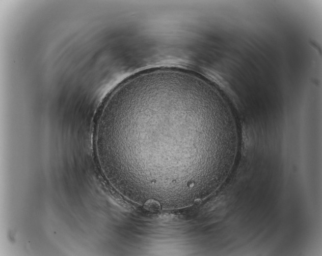 X0000102241316200808011239