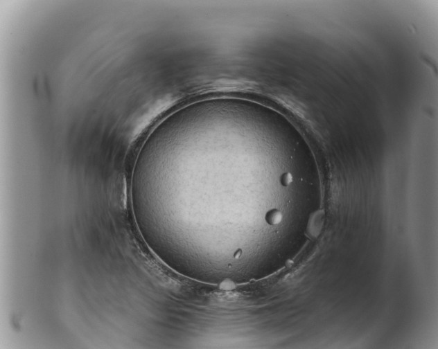 X0000102241317200808011239